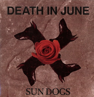 084-Sun Dogs-DI6-sundogs[13 04 2016 14;44;28]